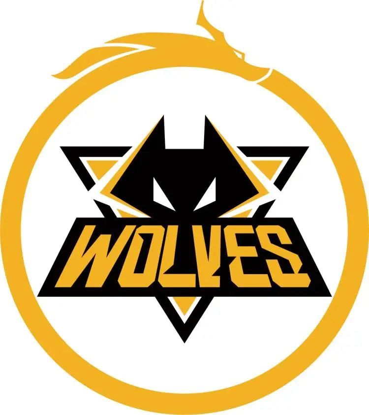 LPL夏季赛分组抽签：BLG和RNG进入B组 TES与LNG在C组交手